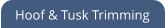 Hoof & Tusk Trimming